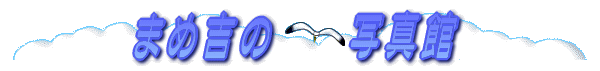 ܂ߋg̎ʐ^